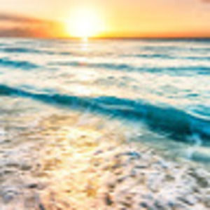 Meet your Posher, Maya